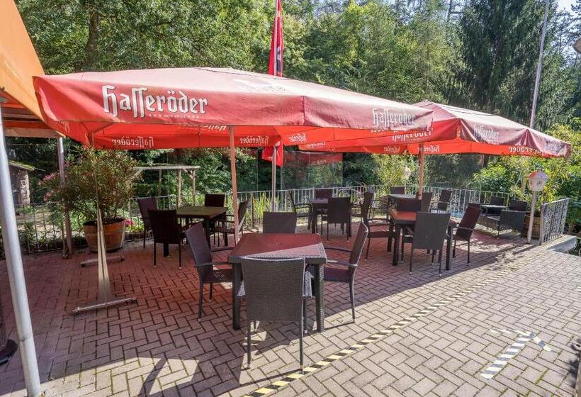 酒店 Waldgaststätte Sennhütte