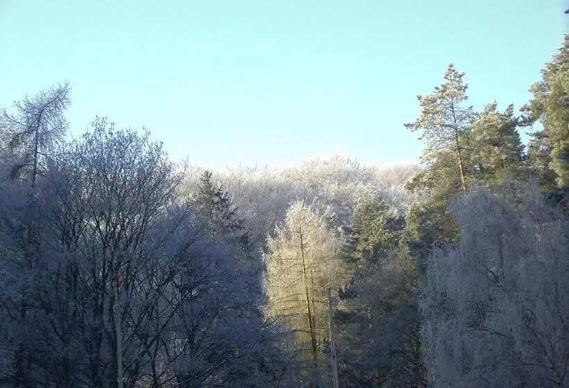 ホテル Waldgaststätte Sennhütte