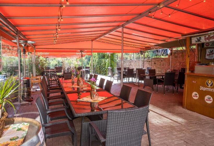 酒店 Waldgaststätte Sennhütte