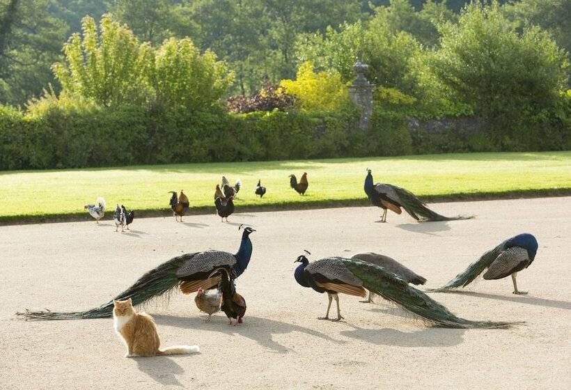 פנסיון Château De Pont Rilly