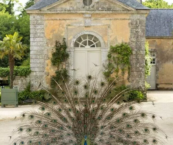 Majatalo Château De Pont Rilly
