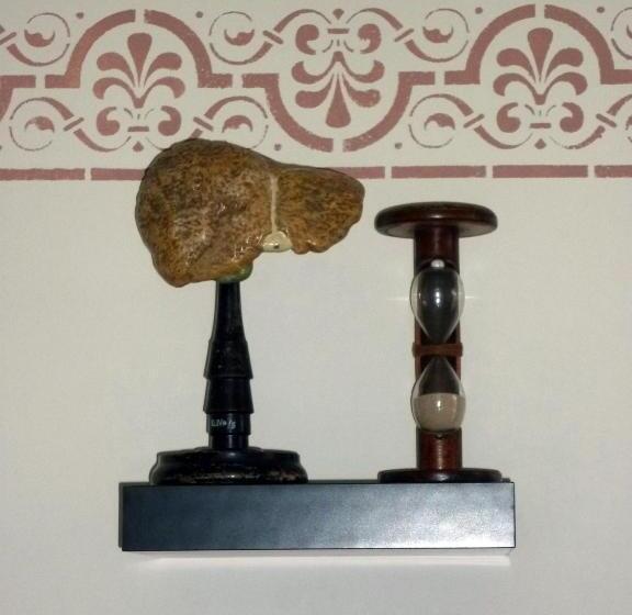 Villa Zur Erholung Bed & Breakfast