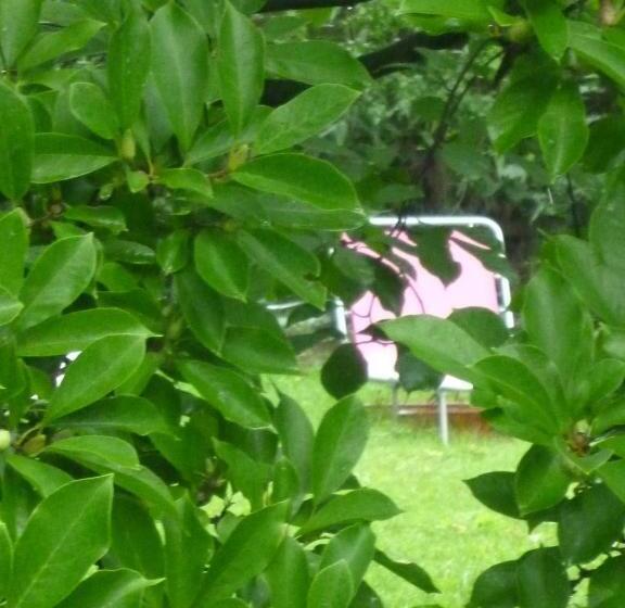 Villa Zur Erholung Bed & Breakfast