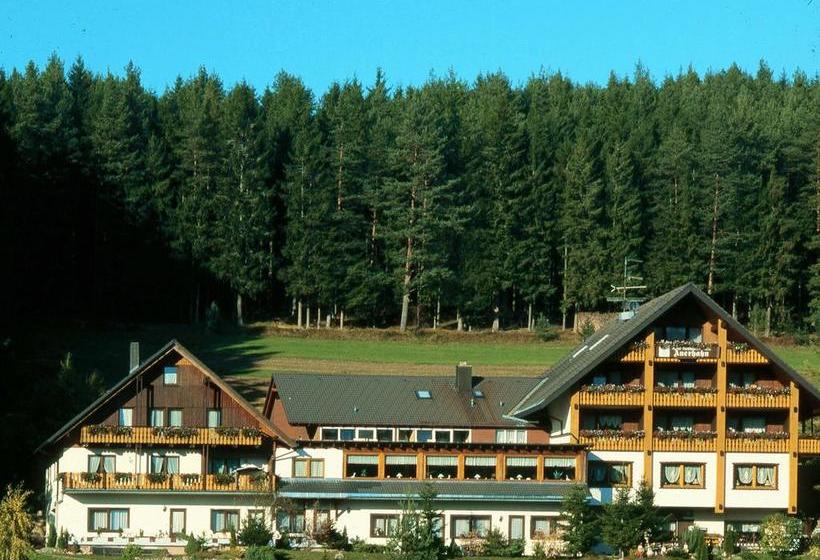 Отель Bed & Breakfast Auerhahn Black Forest