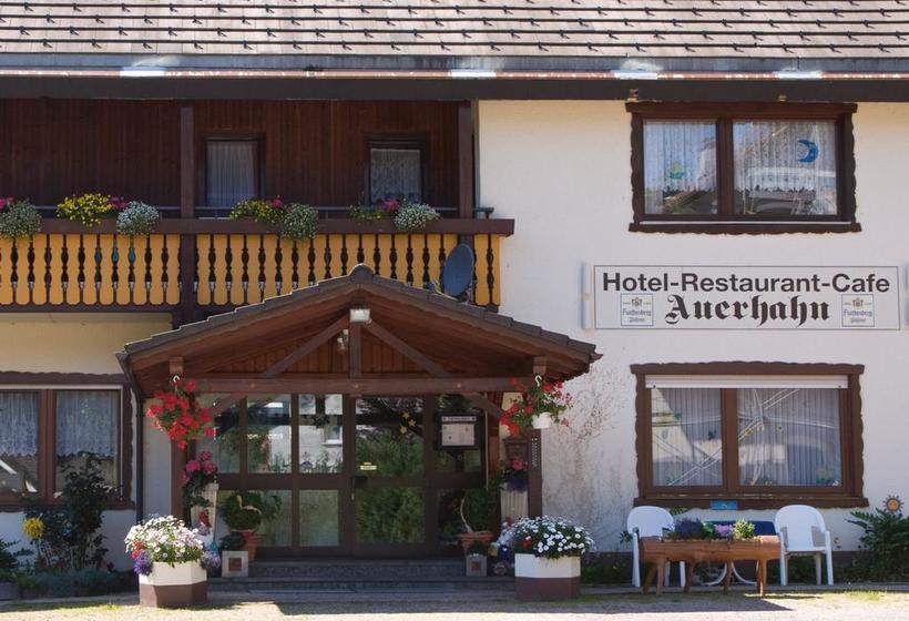 Отель Bed & Breakfast Auerhahn Black Forest