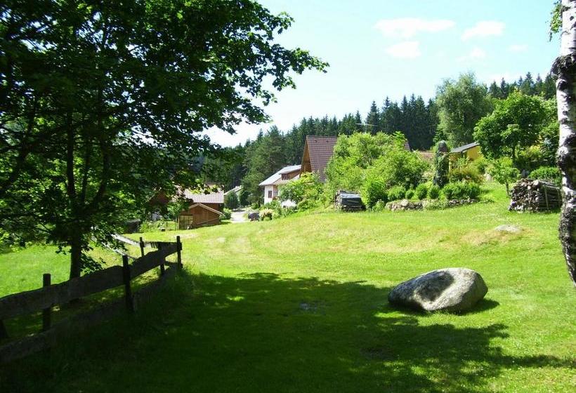 Отель Bed & Breakfast Auerhahn Black Forest