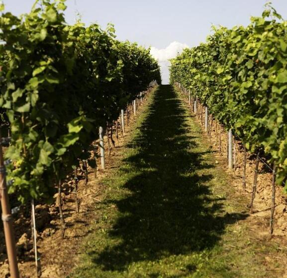 Weinhotel Fritz Walter