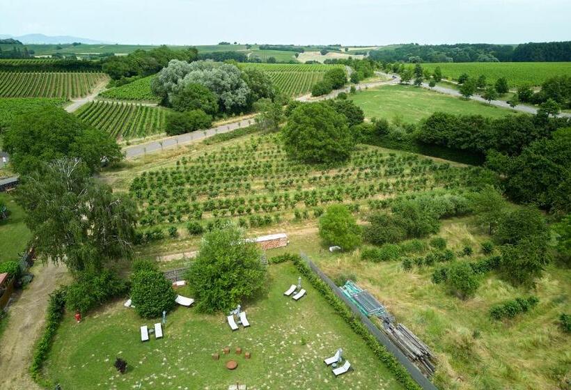 Weinhotel Fritz Walter