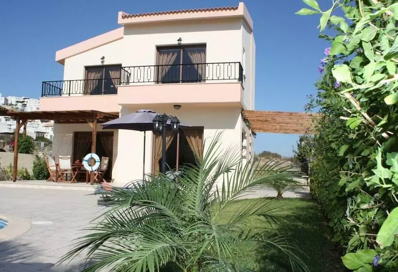 Holidays Villas