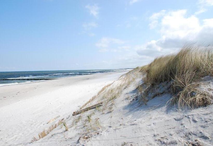 ホテル Alt Wittower Krug