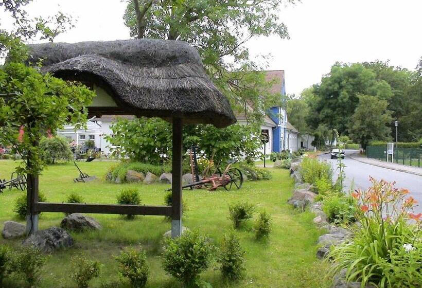 ホテル Alt Wittower Krug