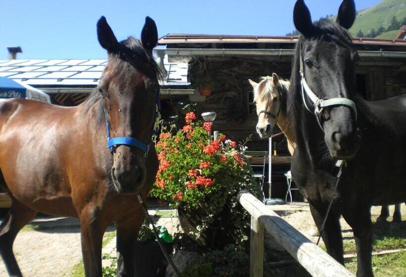 فندق Landhaus Spielmannsau