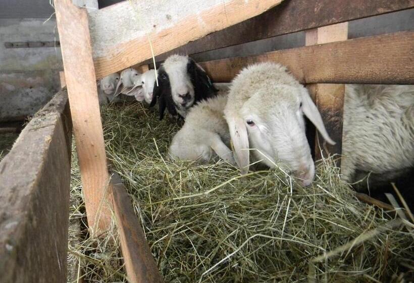 فندق Landhaus Spielmannsau