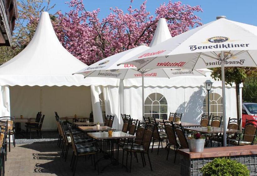 בית מלון כפרי Zur Moselbrücke