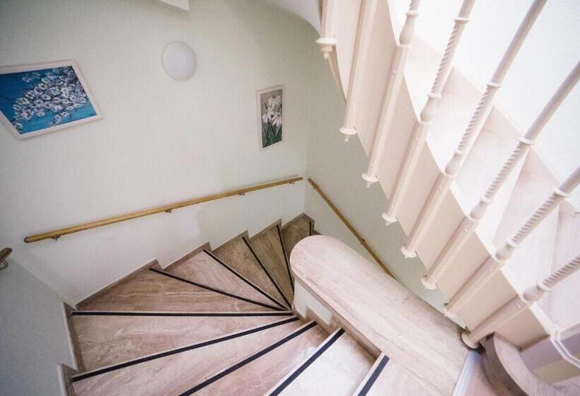 فندق Pension Vesta