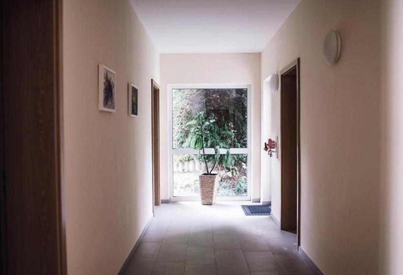 فندق Pension Vesta