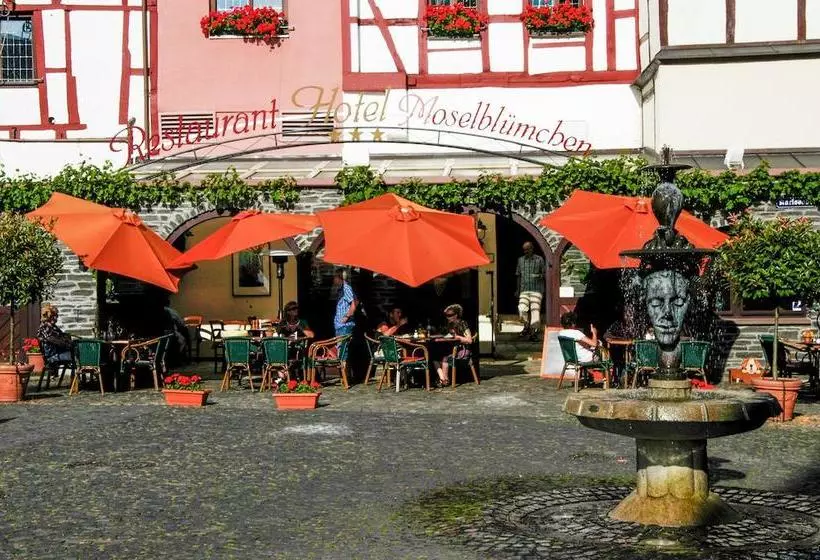 ホテル Restaurant Moselblümchen