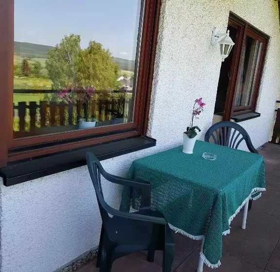 Hotelli Wildenburger Hof