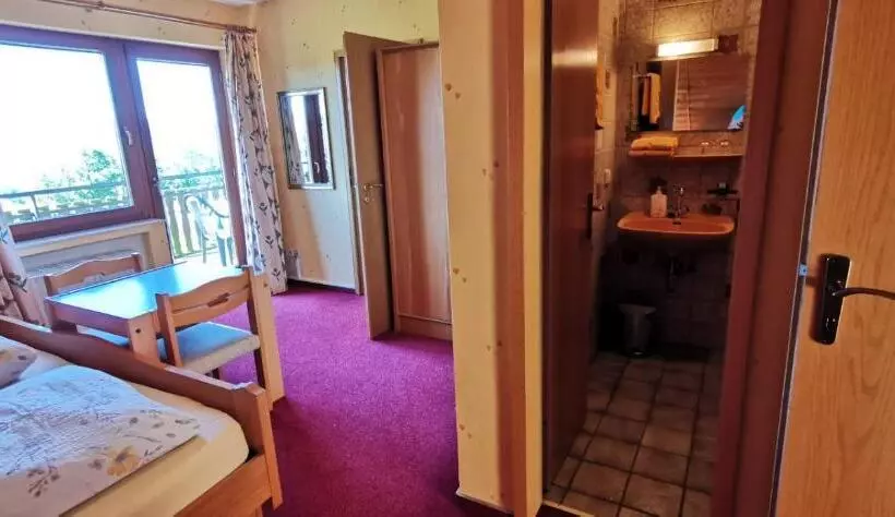 Hotelli Wildenburger Hof