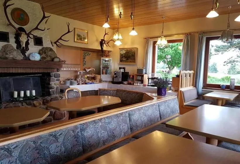 Hotelli Wildenburger Hof