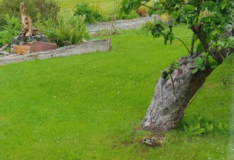 Kingsmede Bed & Breakfast