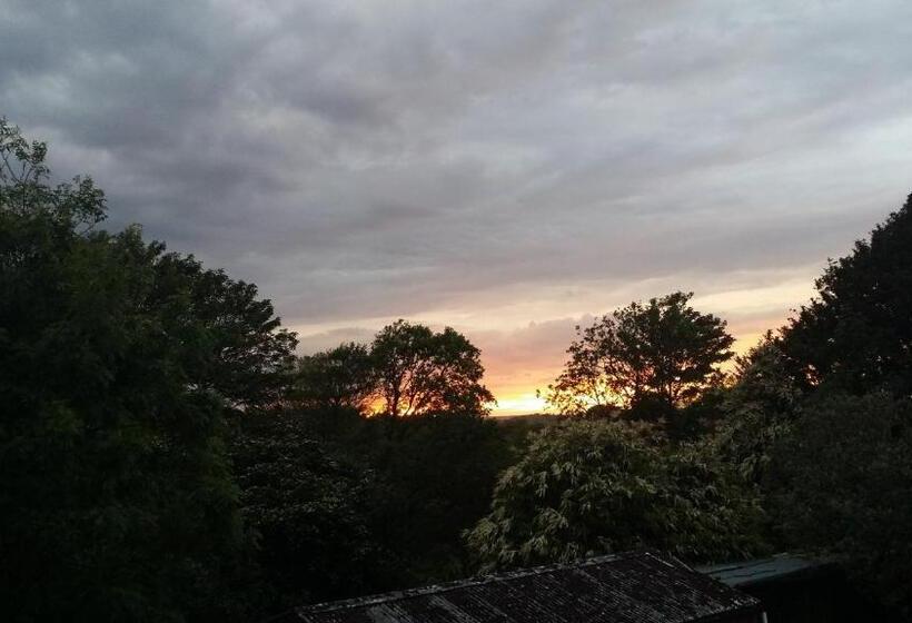 Kingsmede Bed & Breakfast