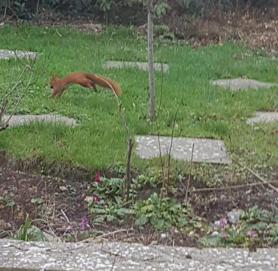 Kingsmede Bed & Breakfast