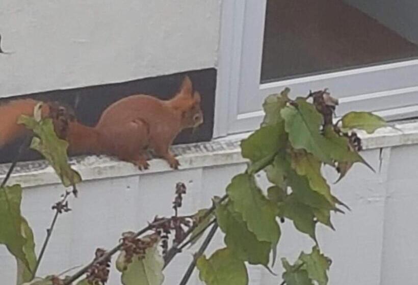 Kingsmede Bed & Breakfast