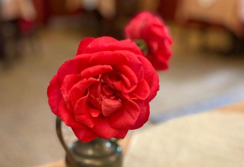 Kreuzerhof Hotel Garni