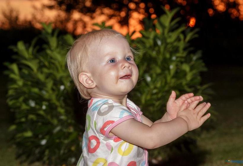 리조트 Seepark Auenhain