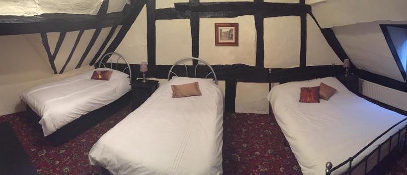 مبيت وإفطار Bassa Villa