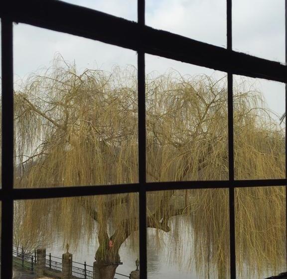 مبيت وإفطار Bassa Villa