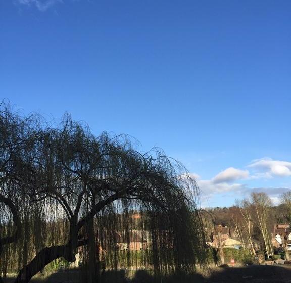 مبيت وإفطار Bassa Villa