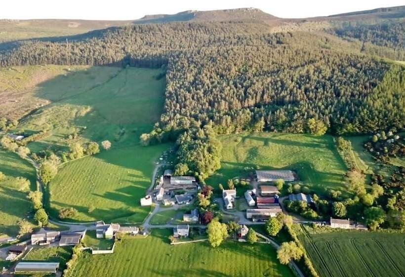 住宿加早餐  Tosson Tower Farm