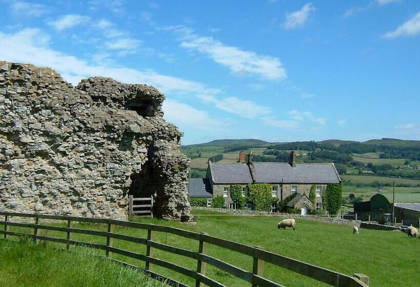 住宿加早餐  Tosson Tower Farm