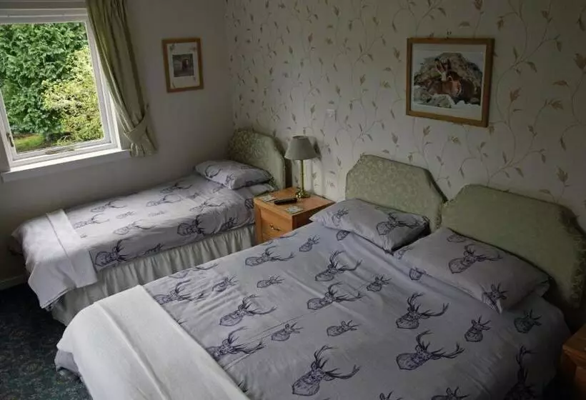 تختخواب و صبحانه Dall Lodge Country House