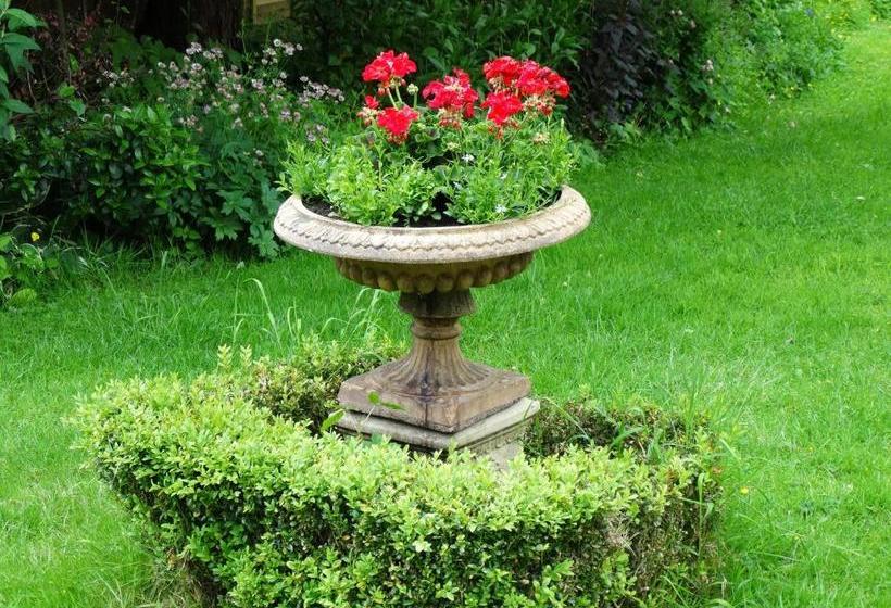 ベッドアンドブレックファースト Three Ivy Cross