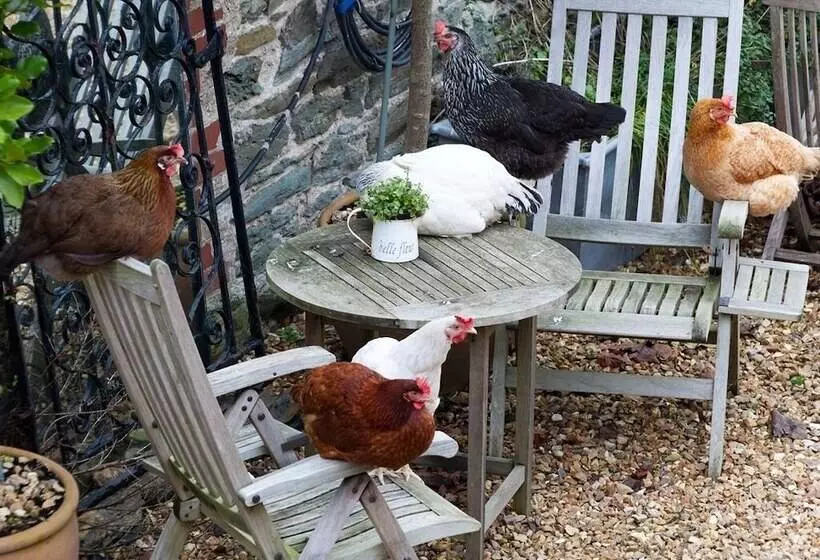Glebe Farm B&b