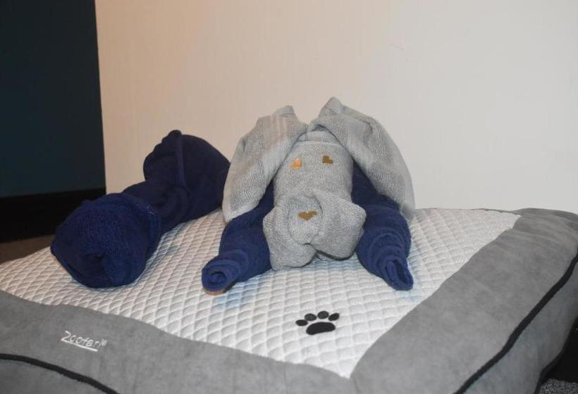 בית מלון כפרי The Old Silent Inn