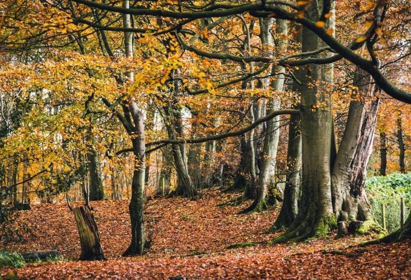 Scotch Arms Mews Bed & Breakfast