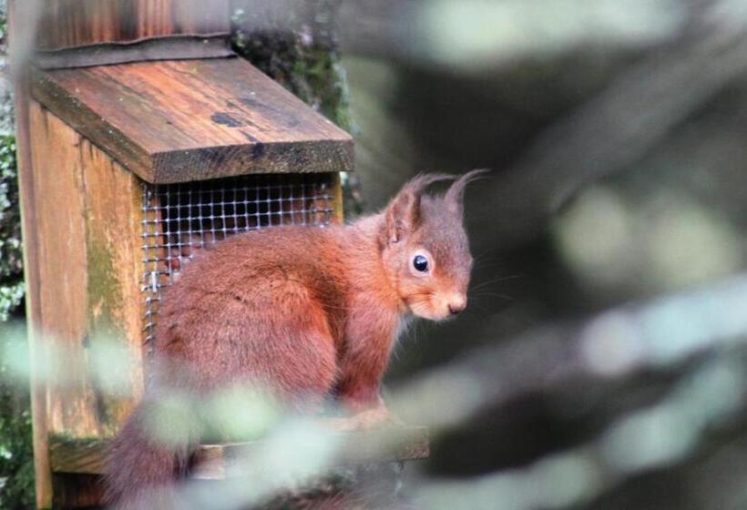 The Brander Lodge Hotel And Bistro