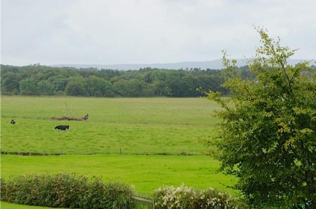 민박 No.2 Troon Road