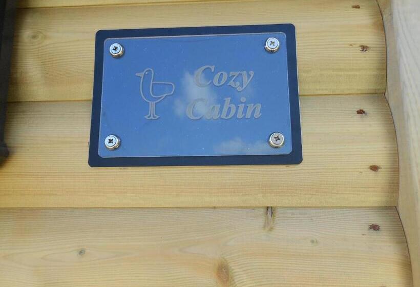 Downsfield Bed And Breakfast