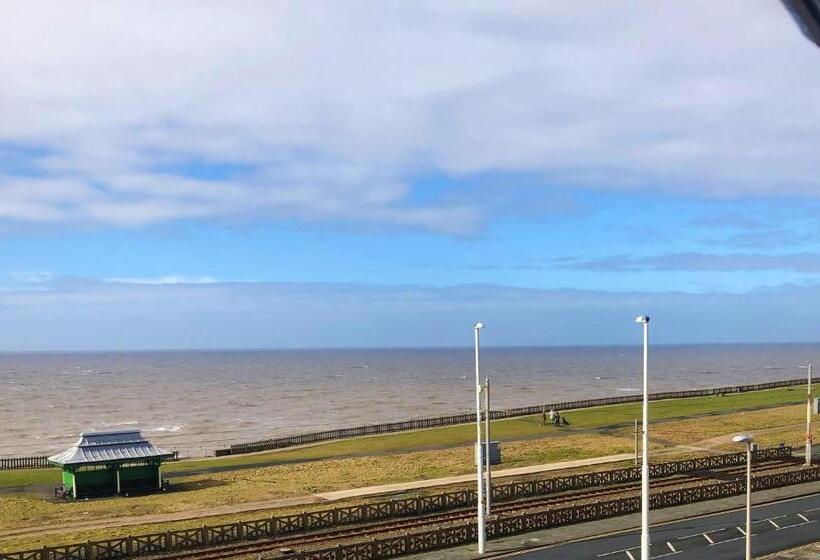 酒店 The Fossil Tree