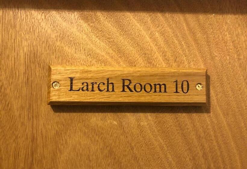 酒店 The Fossil Tree