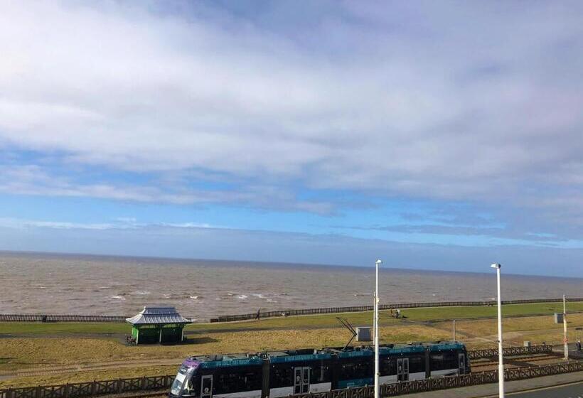 酒店 The Fossil Tree