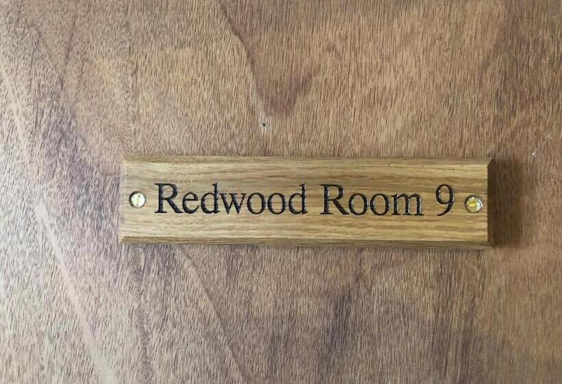 酒店 The Fossil Tree