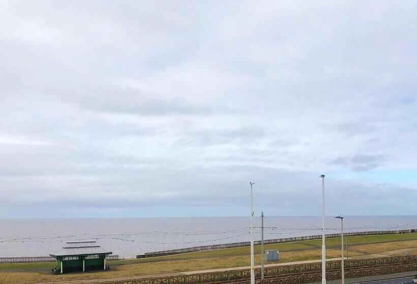 酒店 The Fossil Tree