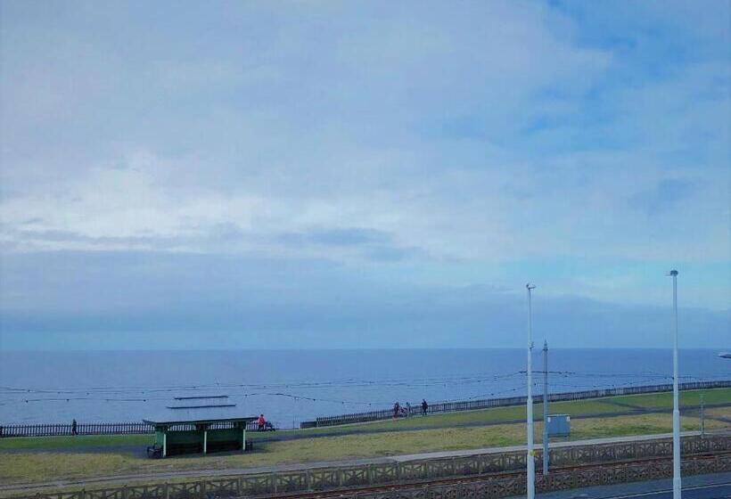 酒店 The Fossil Tree