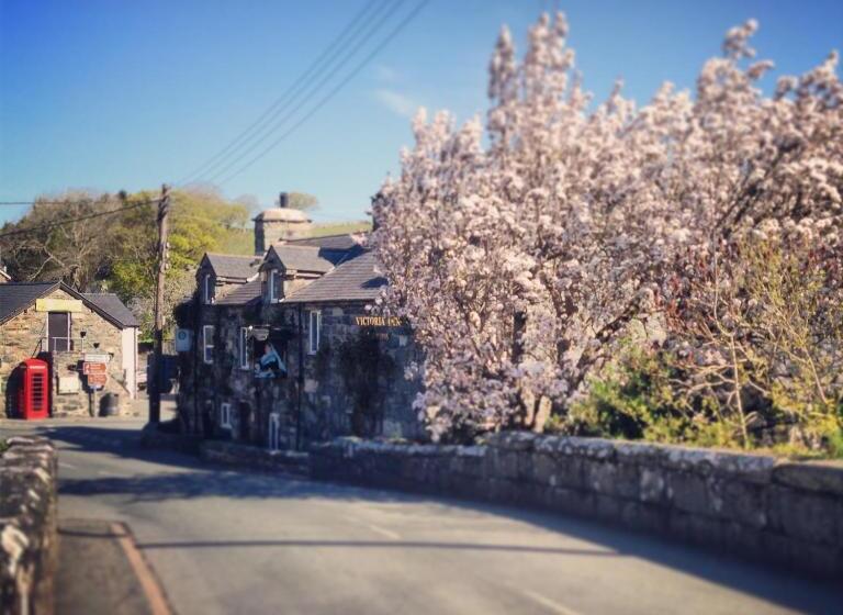 ホテル Victoria Inn